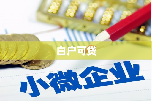 泾阳白户可贷