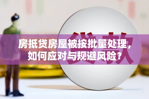 海陵房抵贷房屋被按批量处理，如何应对与规避风险？