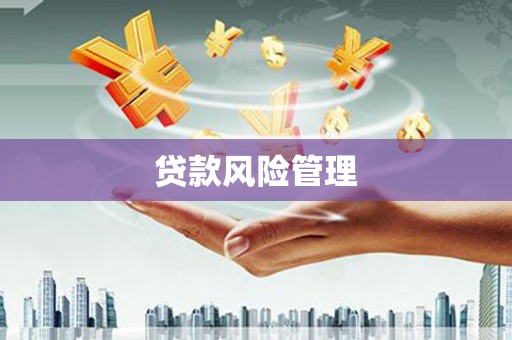 文成贷款风险管理